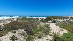 Pantai di sekitar