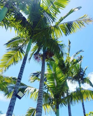 Fachada del alojamiento