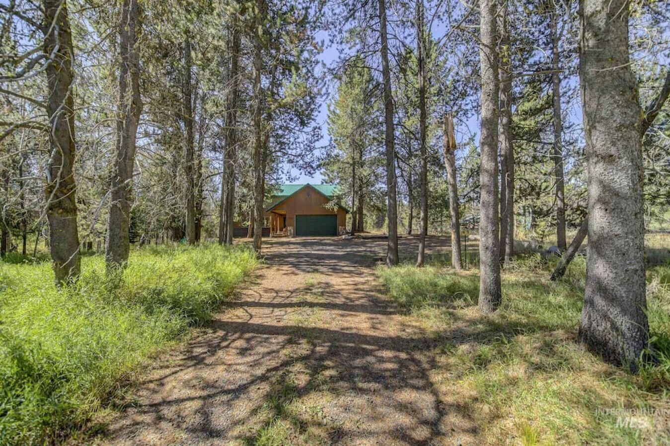 A cabin with a green roof and a green garage door, surrounded by tall trees and a dirt path leading to it.