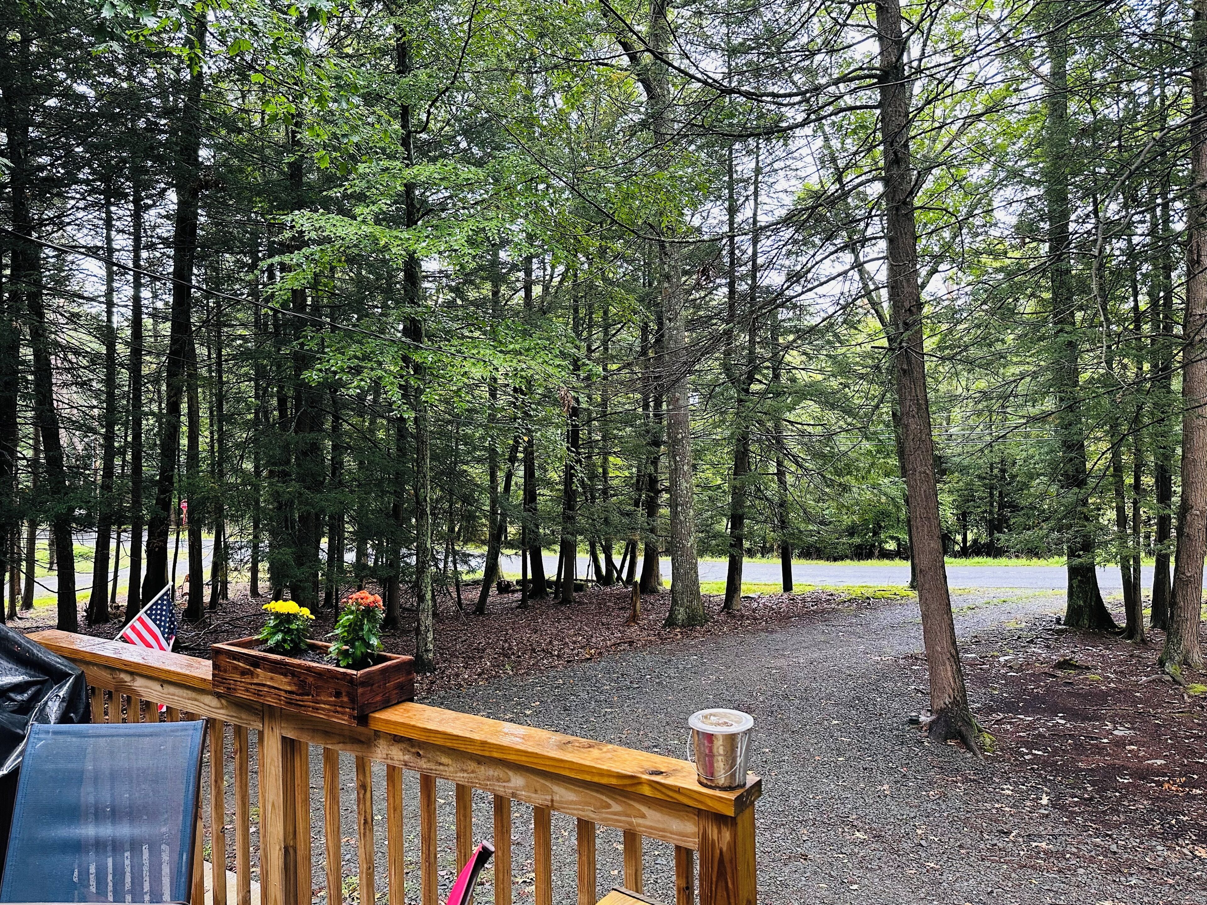 A wooden deck with a bench, surrounded by a forested area with tall trees and a gravel path.