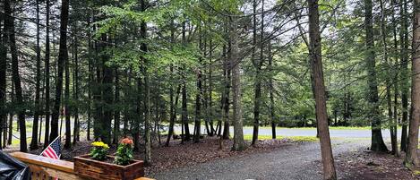 A wooden deck with a bench, surrounded by a forested area with tall trees and a gravel path.
