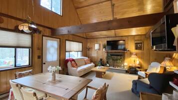 Smart TV, fireplace, books