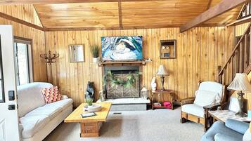 Smart TV, fireplace, books