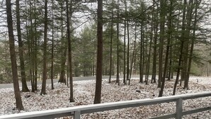 Une zone boisée avec un sentier pavé et une rambarde en métal.