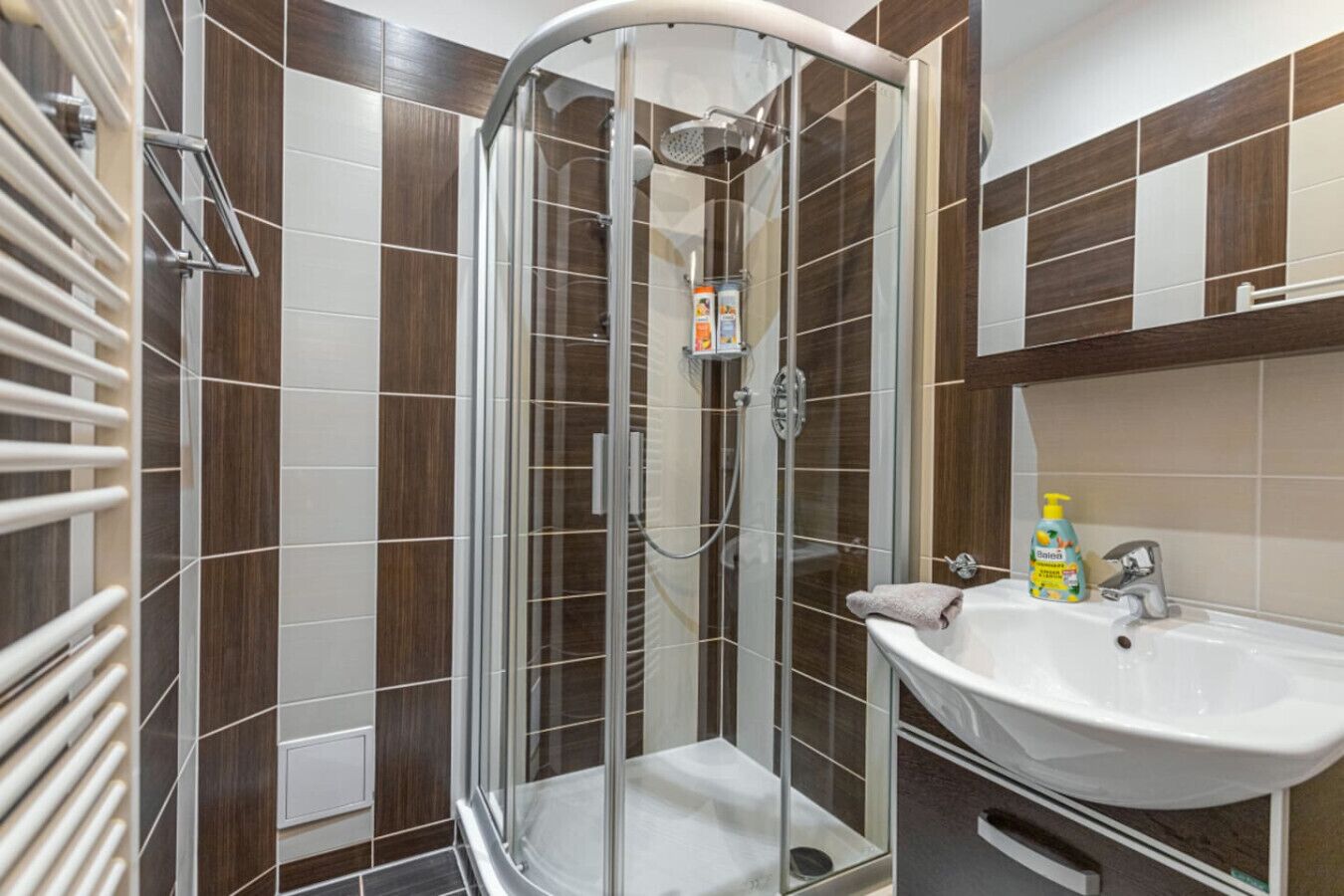 Shower, hair dryer, shampoo