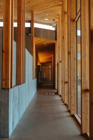 Stylish corridor with wooden beams and glass panels, lined with natural light.