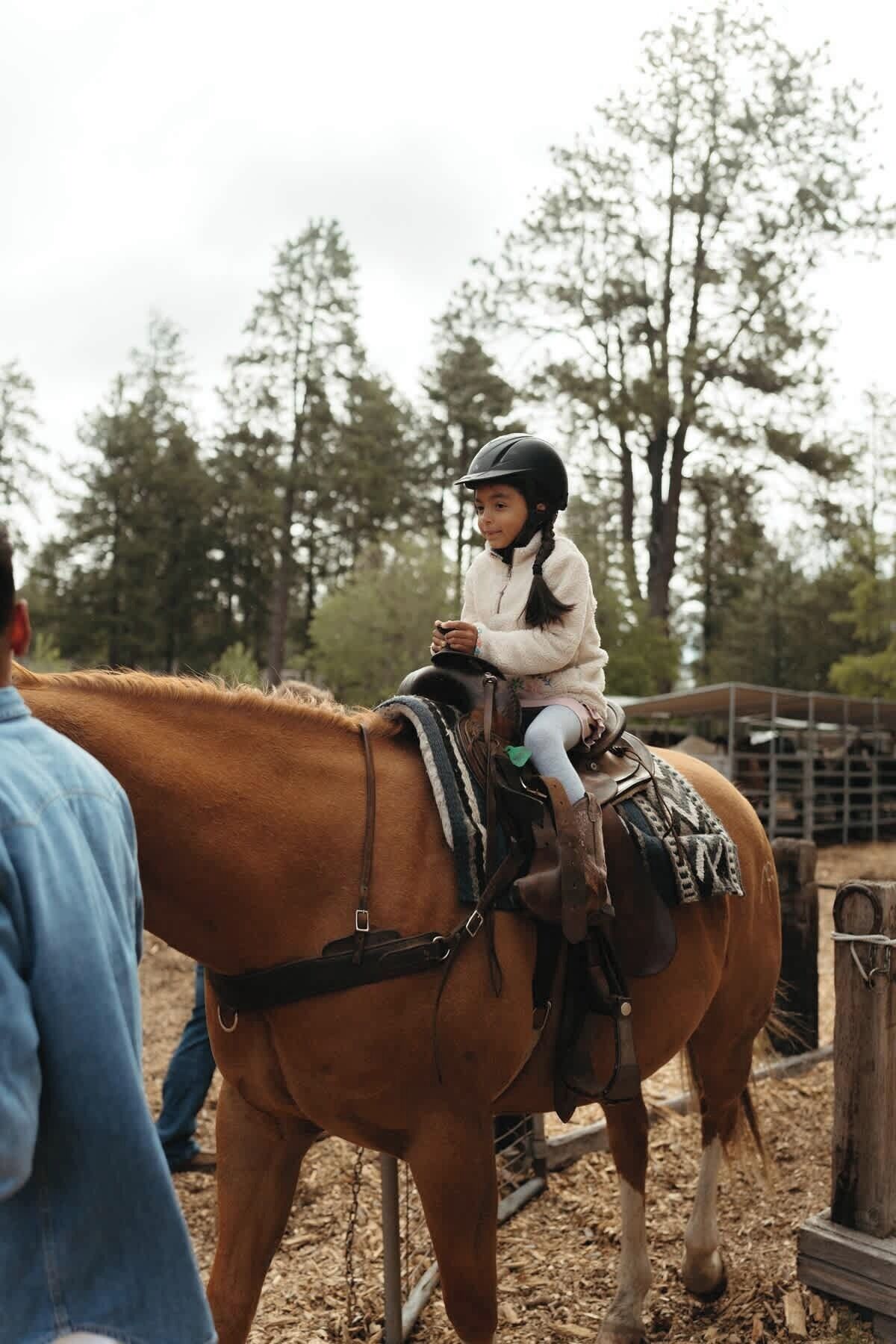 A person riding a horse in an outdoor setting with trees and a fence in the background.