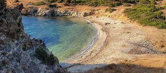 Villa near the sea submerged in greenery