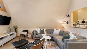 TV, caminetto, studio