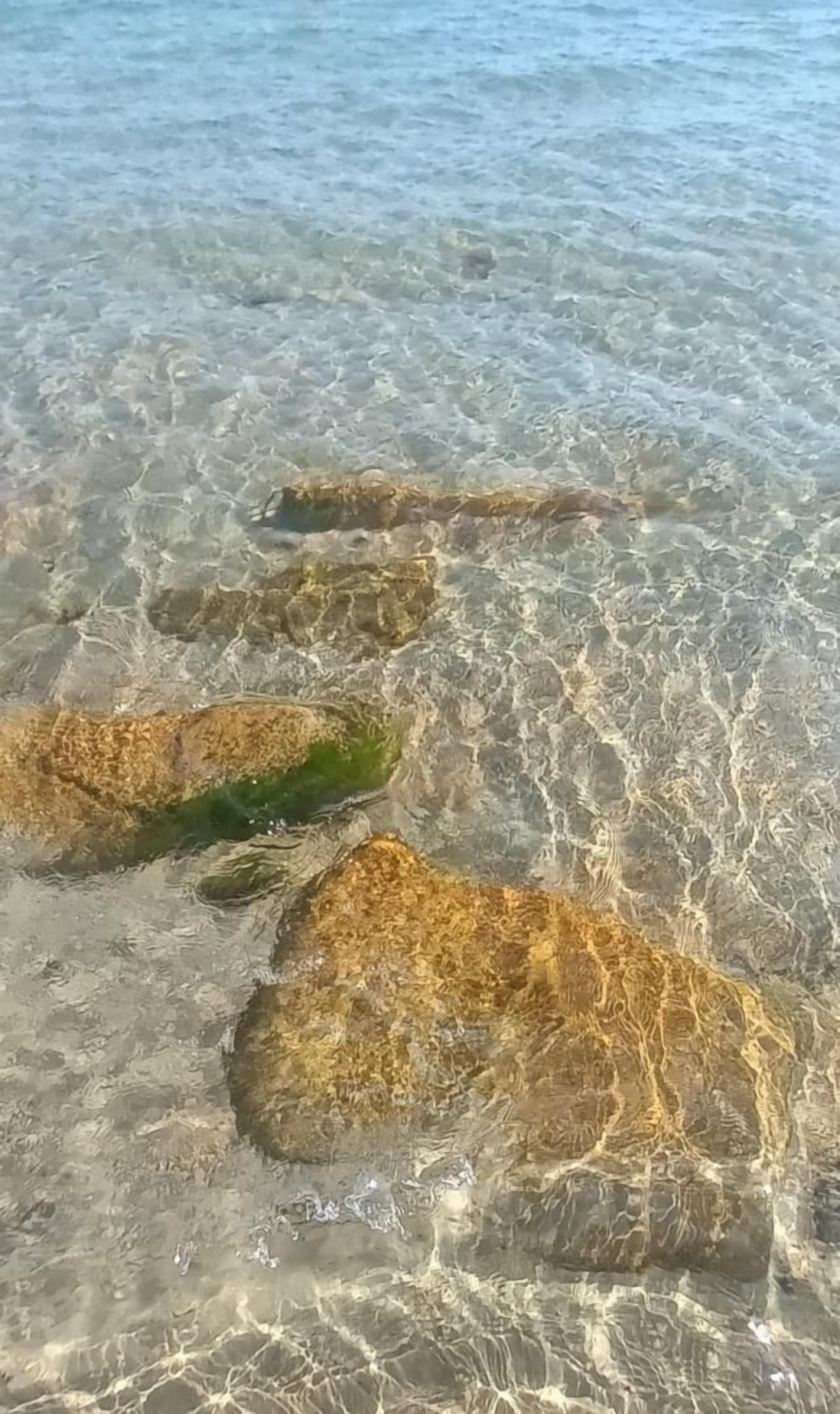 Klares, flaches Wasser mit Steinen und Seegras.