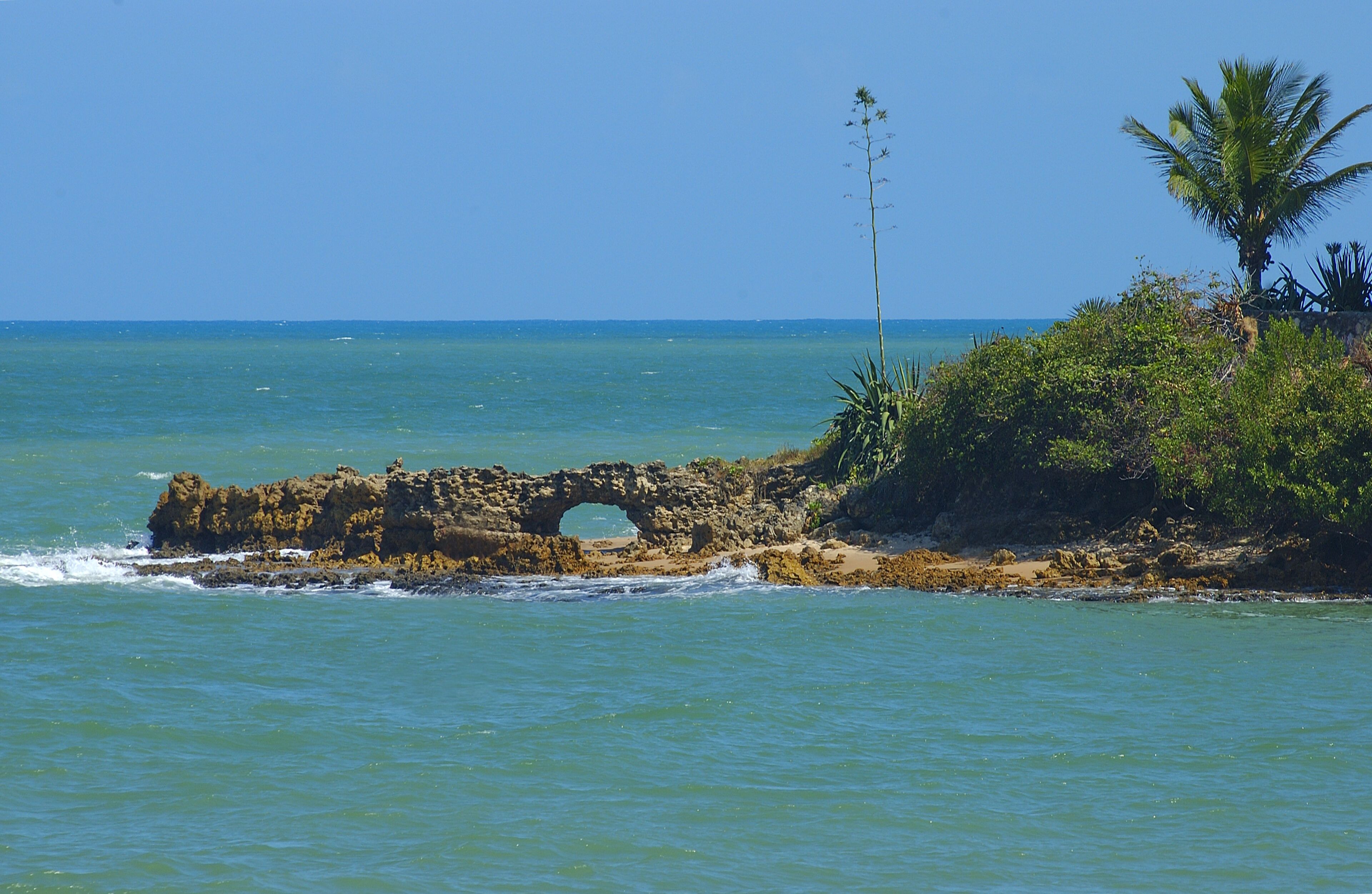 A coastal landscape with a natural rock formation featuring an archway, surrounded by vegetation and palm trees.