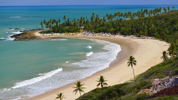 A beach with palm trees, a sandy shore, and clear blue water. - Chocolate com Pimenta Edifício (João Pessoa)