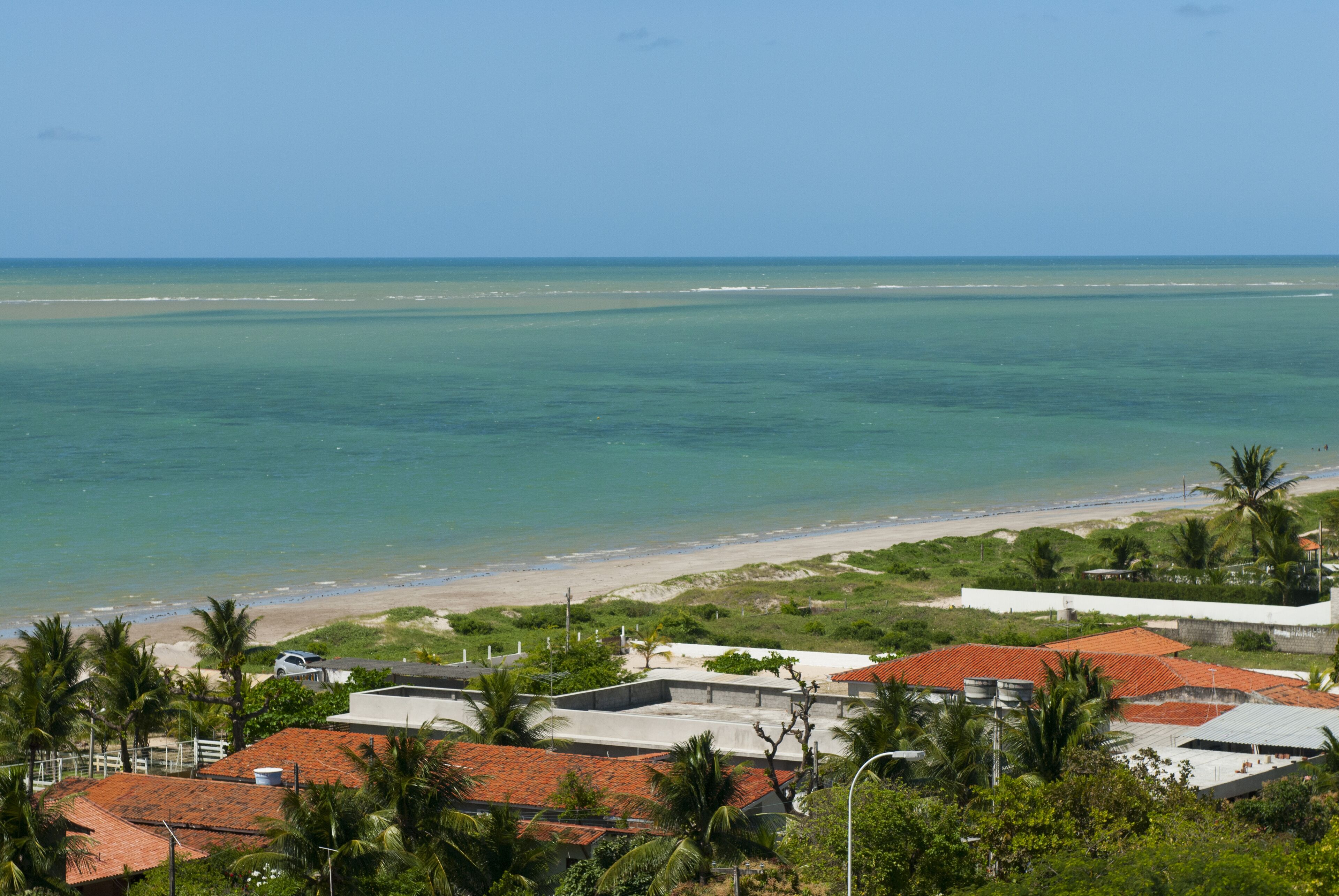 Vista costera con playa, palmeras y edificios con tejados rojos.