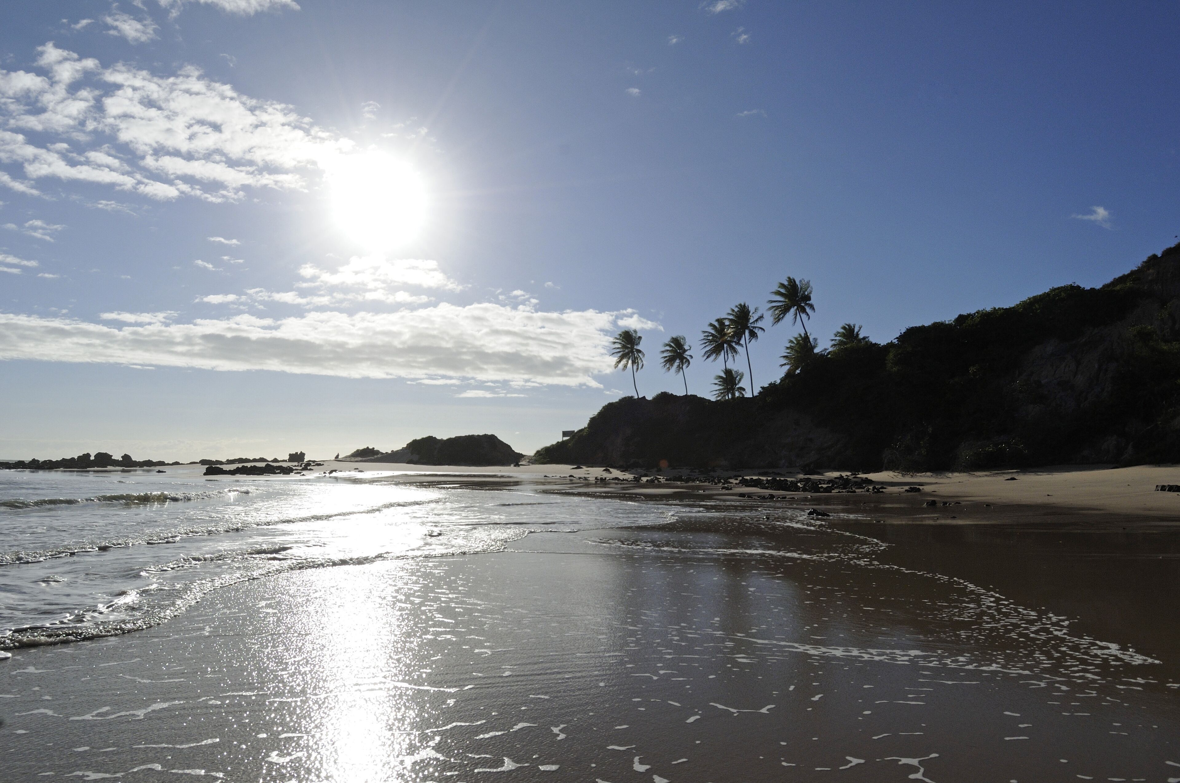 Una playa con palmeras, cielo despejado y sol brillante.