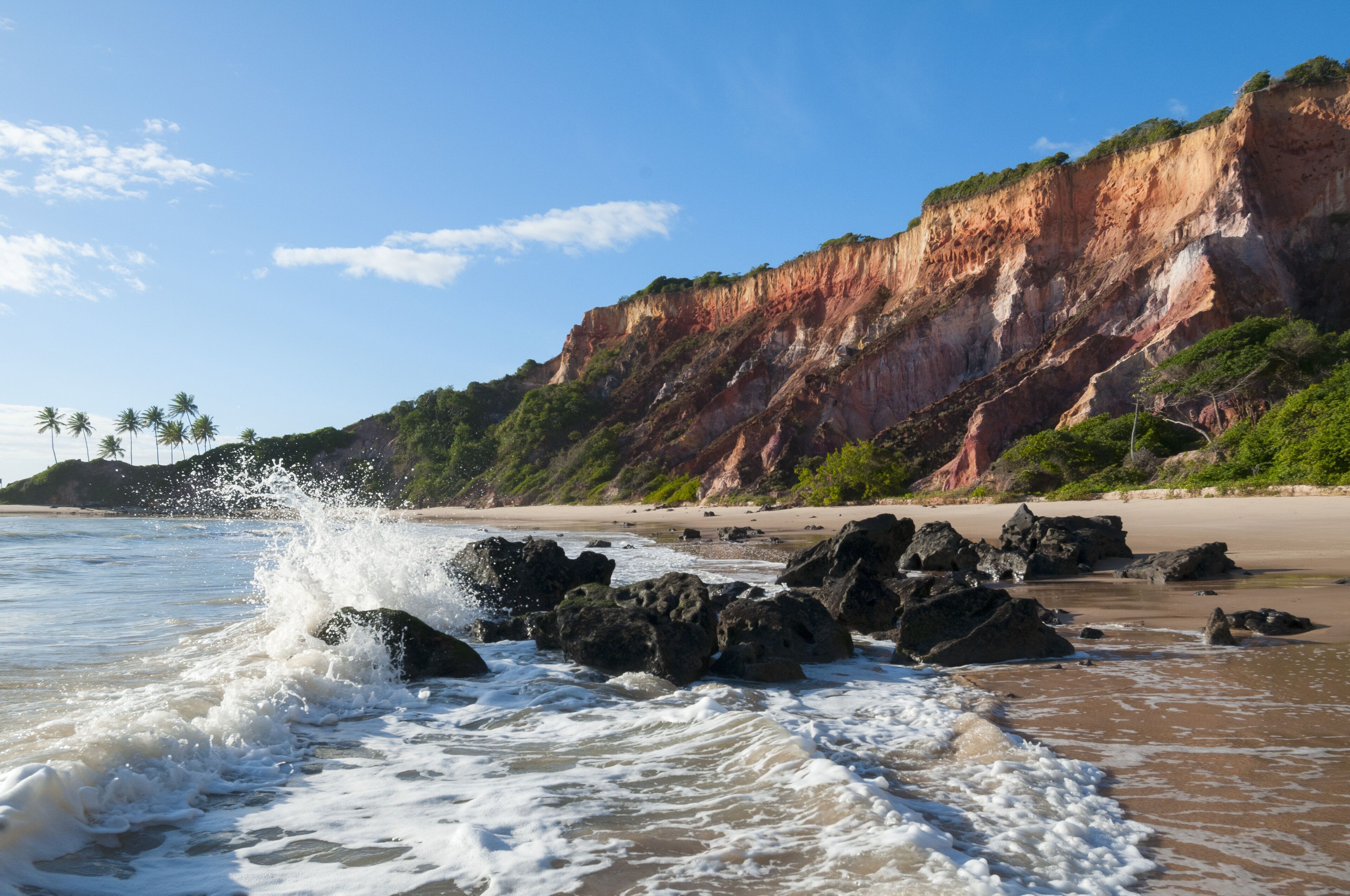 Una playa con olas rompiendo sobre rocas y un acantilado cubierto de vegetación.