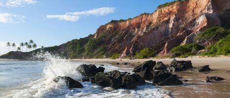 A beach with waves crashing onto rocks and a cliff with greenery.