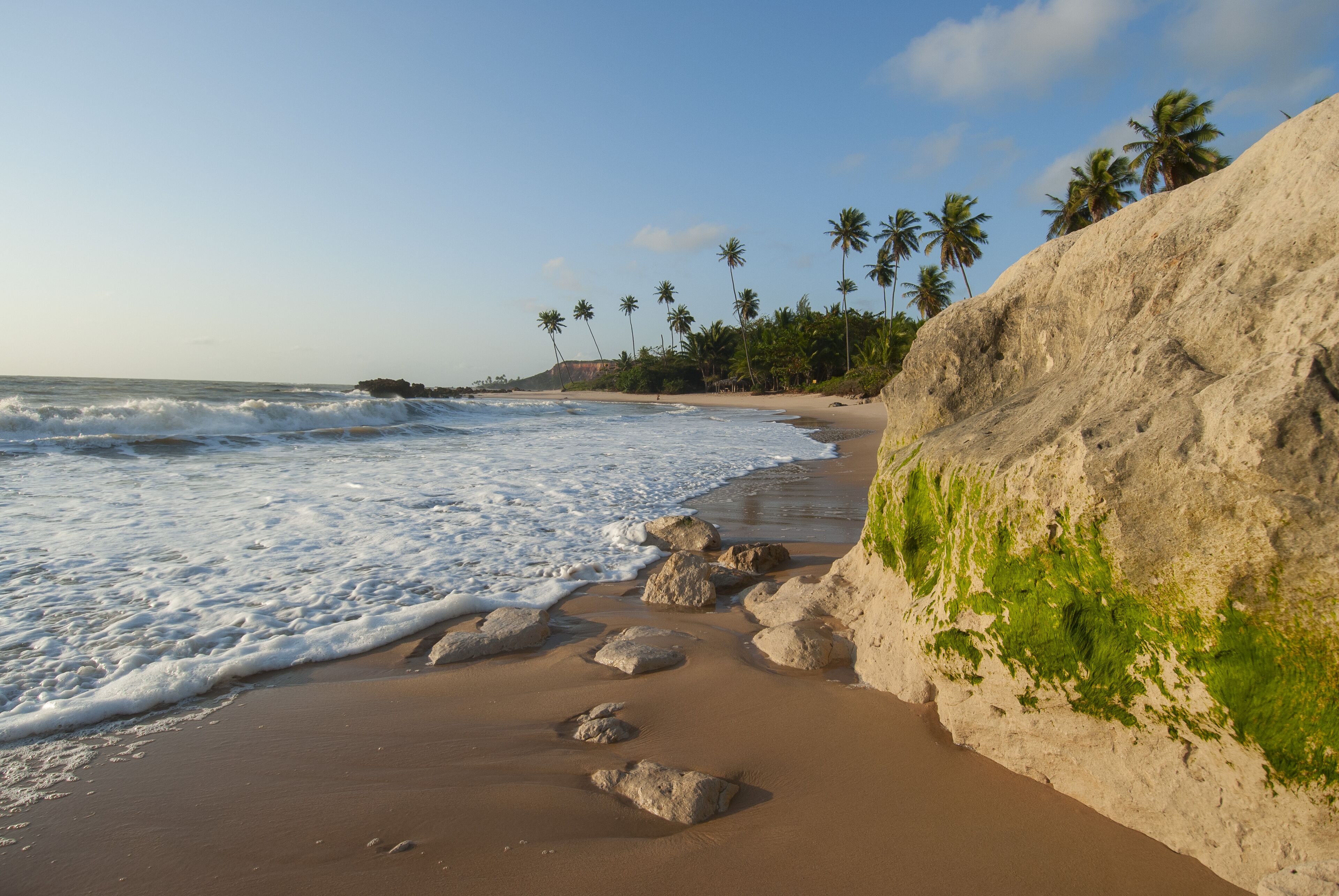 A beach with waves, rocks, and palm trees.