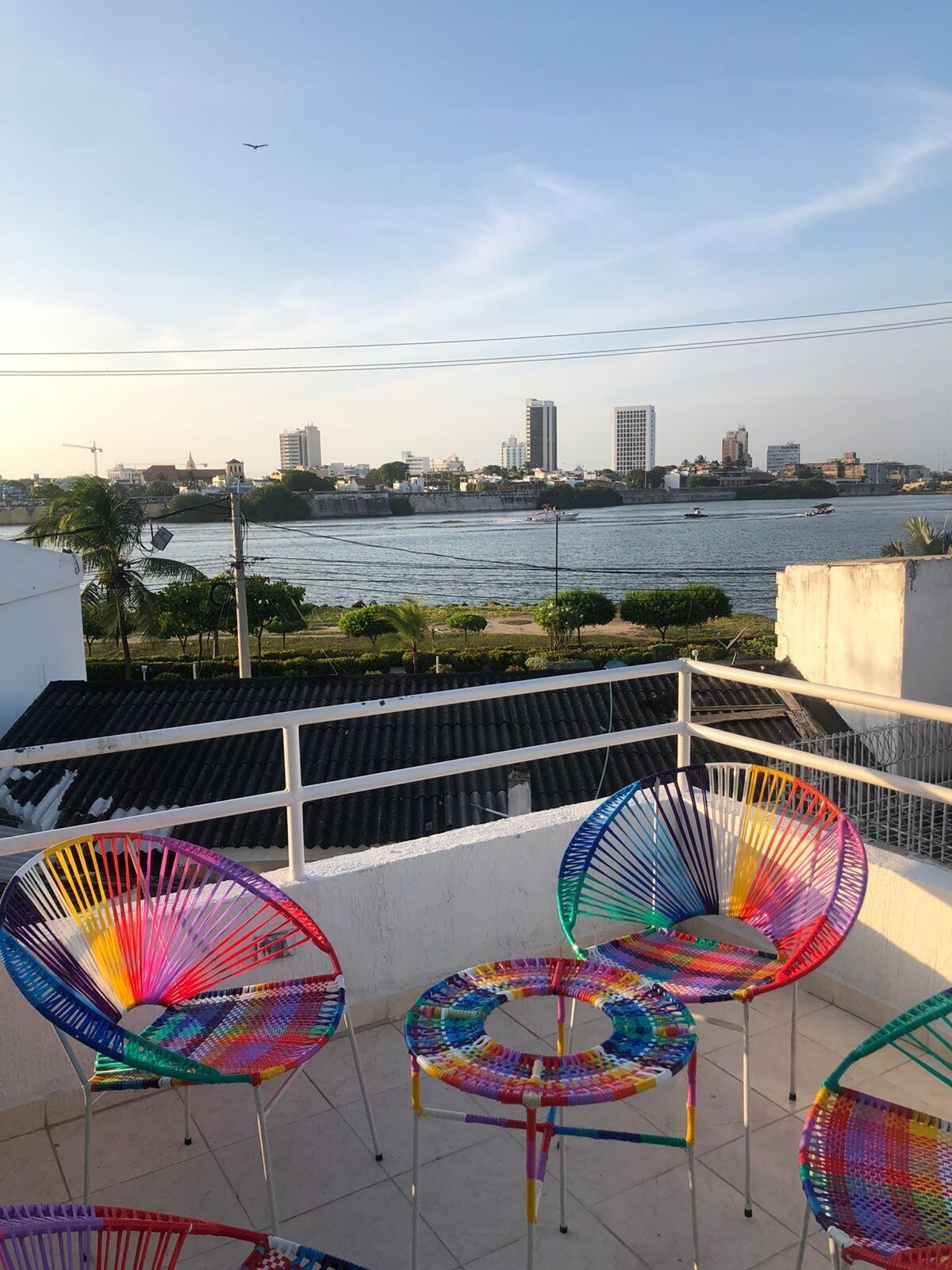 Imagen de perfil del propietario o de la propietaria