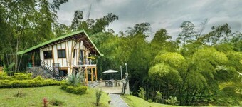 Family suite for 4 with private kitchen, bathroom, Balcony and living area