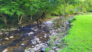Eine natürliche Landschaft mit einem klaren Bach, Felsen und üppigem Grün.