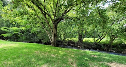 Extra large grassy creekside tent site!