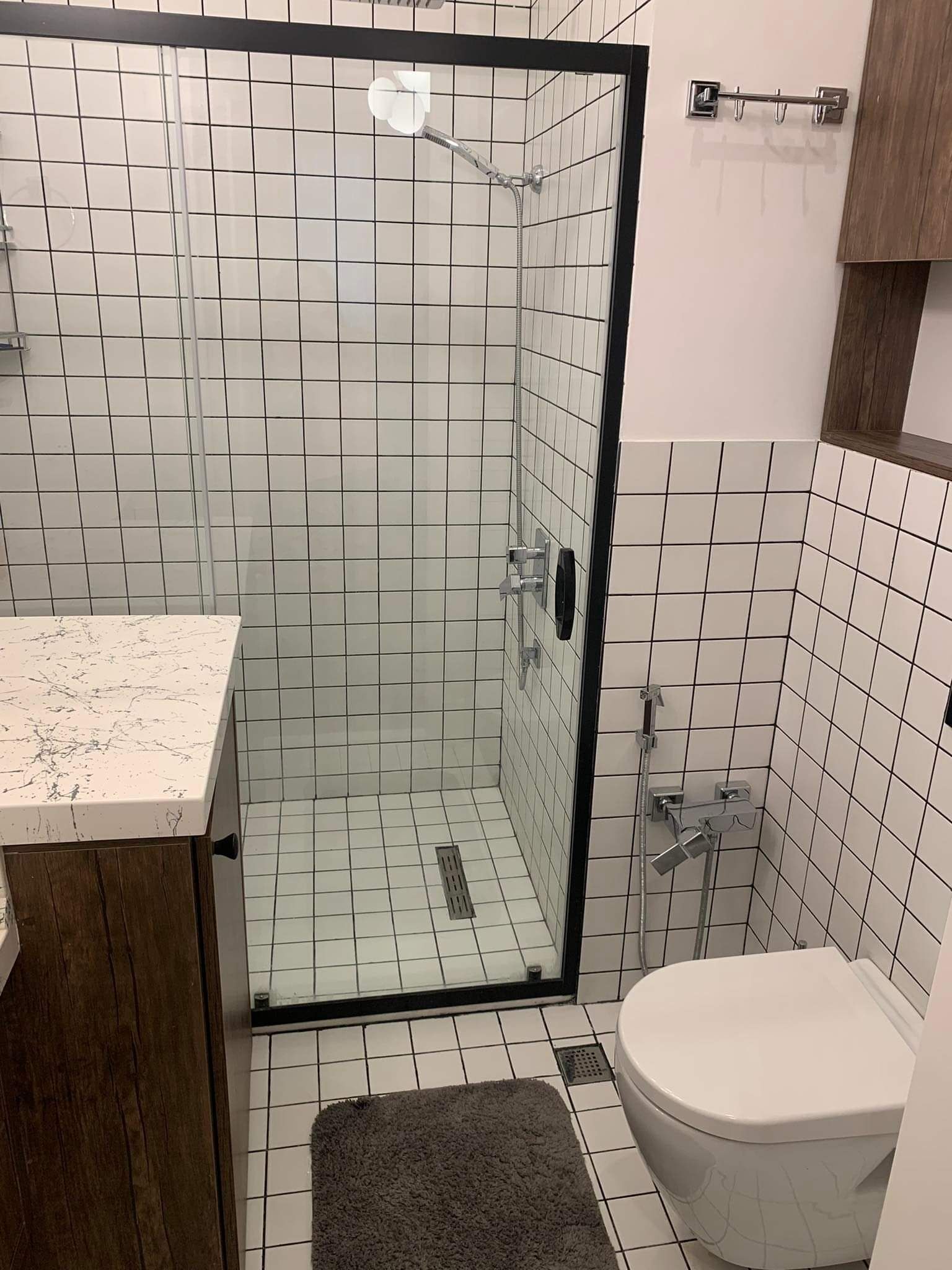 Shower, hair dryer, bidet, towels