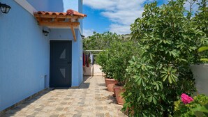 A narrow stone-paved alleyway with a blue building, a black door, and potted plants.