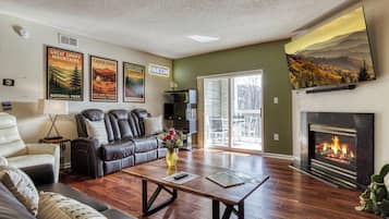 Smart TV, fireplace, books