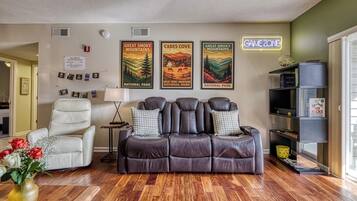 Smart TV, fireplace, books