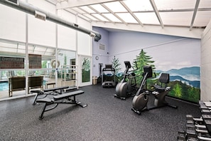 Une salle de sport équipée de matériel d’exercice, d’un banc et ornée d’une fresque représentant un paysage de montagne.