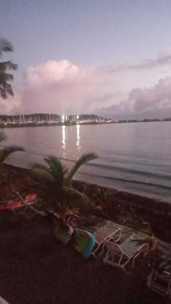A beach view with a calm sea, palm trees, and a distant shoreline with buildings and lights.