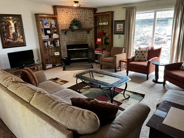 TV, fireplace, books