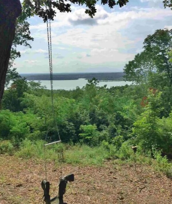 Eine Schaukelanlage in einer natürlichen Umgebung, im Hintergrund ein See.