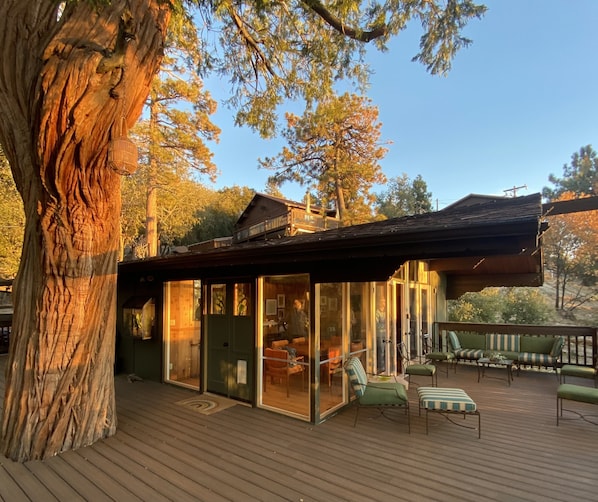 Property grounds - Sunset64 Mid-Century Modern Cabin (Idyllwild-Pine Cove)