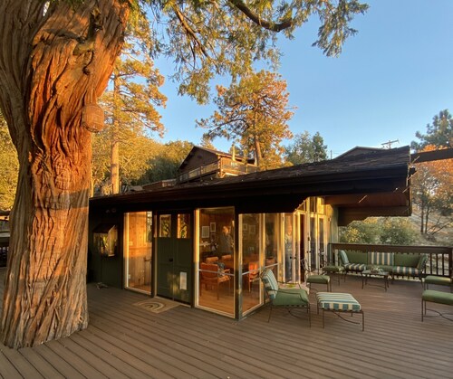 Sunset64 Mid-Century Modern Cabin