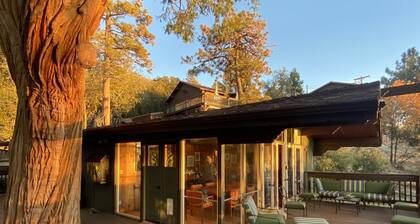 Sunset64 Mid-Century Modern Cabin