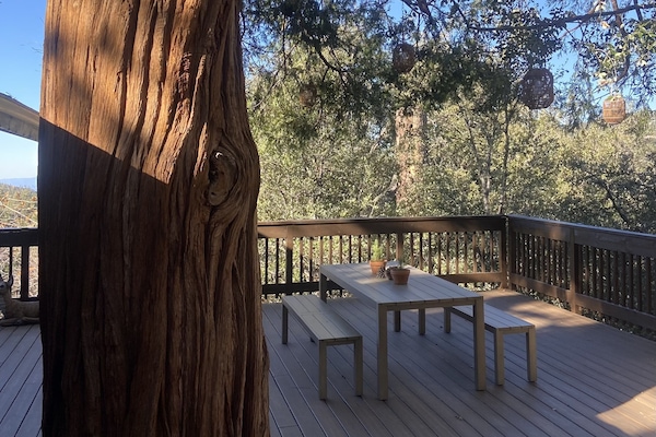 Servei de restauració a l'aire lliure