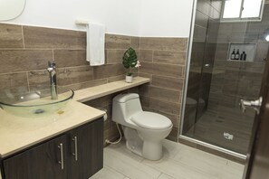 Hair dryer, towels, soap, shampoo