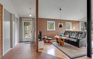 Fernseher, Kamin