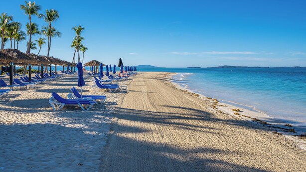 Ein Strand mit blauen Liegestühlen, Sonnenschirmen, Palmen und blauem Himmel.