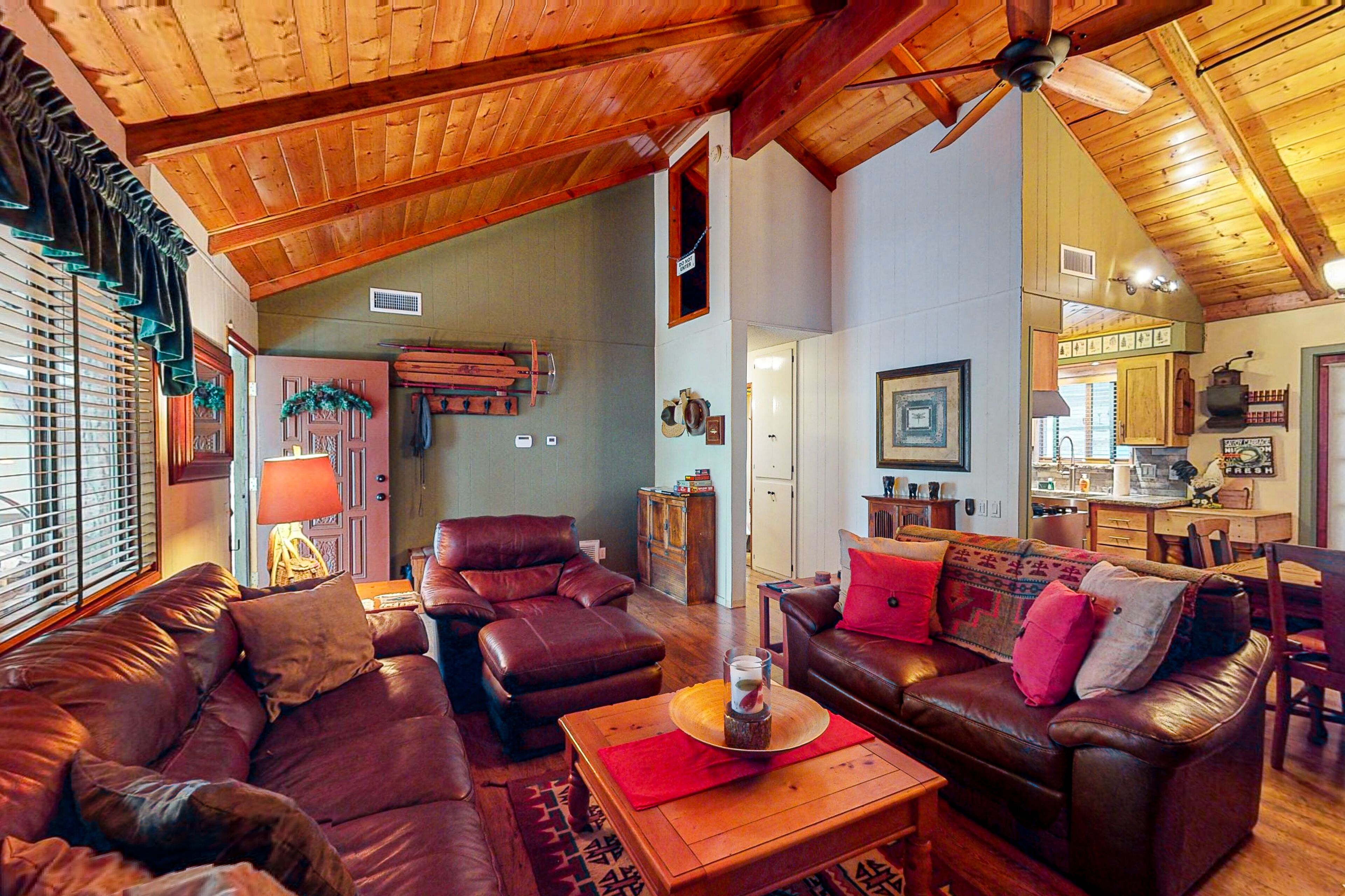 Mountain-view cabin with a wood-burning fireplace, grill, & W/D - dog-friendly