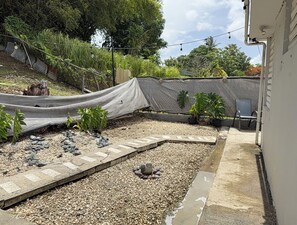 Terrein van de accommodatie