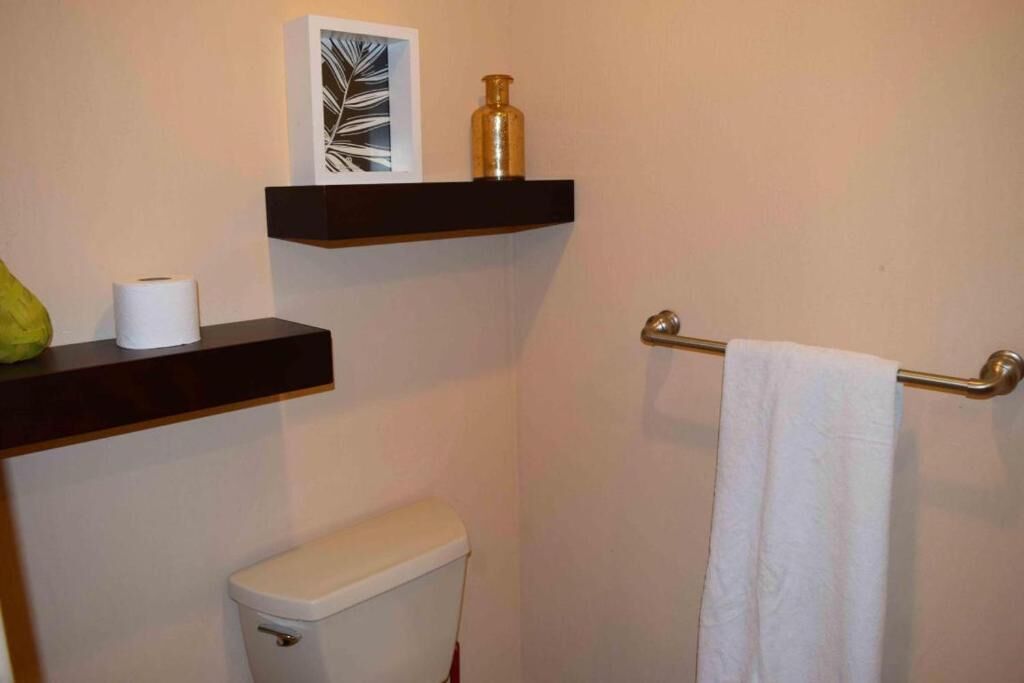 Un baño con inodoro, un perchero y dos estantes con un rollo de papel higiénico y un objeto decorativo.