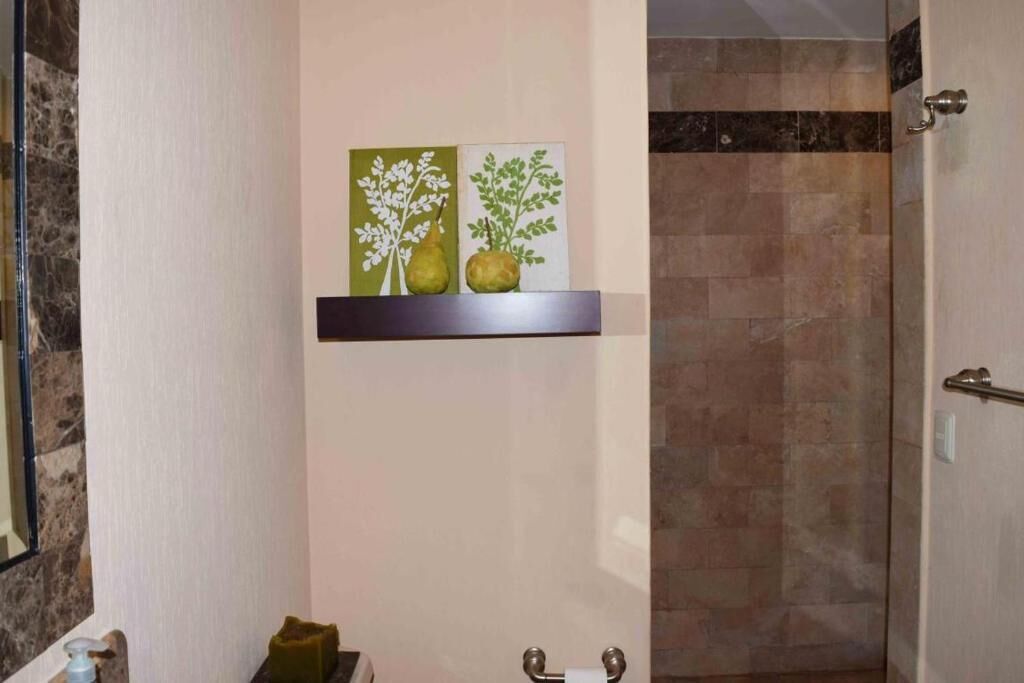 Ein Badezimmer mit Dusche, Handtuchhalter und einem Regal mit zwei Bildern.