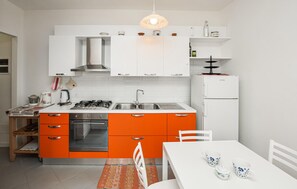 Fridge, stovetop, cookware/dishes/utensils