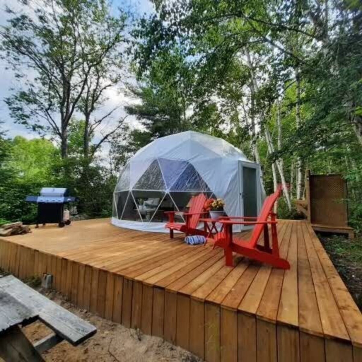 Bild für Gastgeberprofil