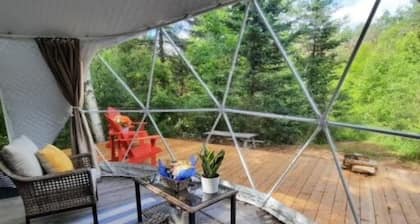 Site #8 | Terra Dome