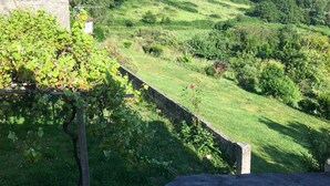 Vinhedo com muro de pedra e um edifício ao fundo.