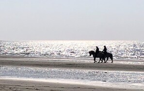 In StrandnÀhe, Angeln