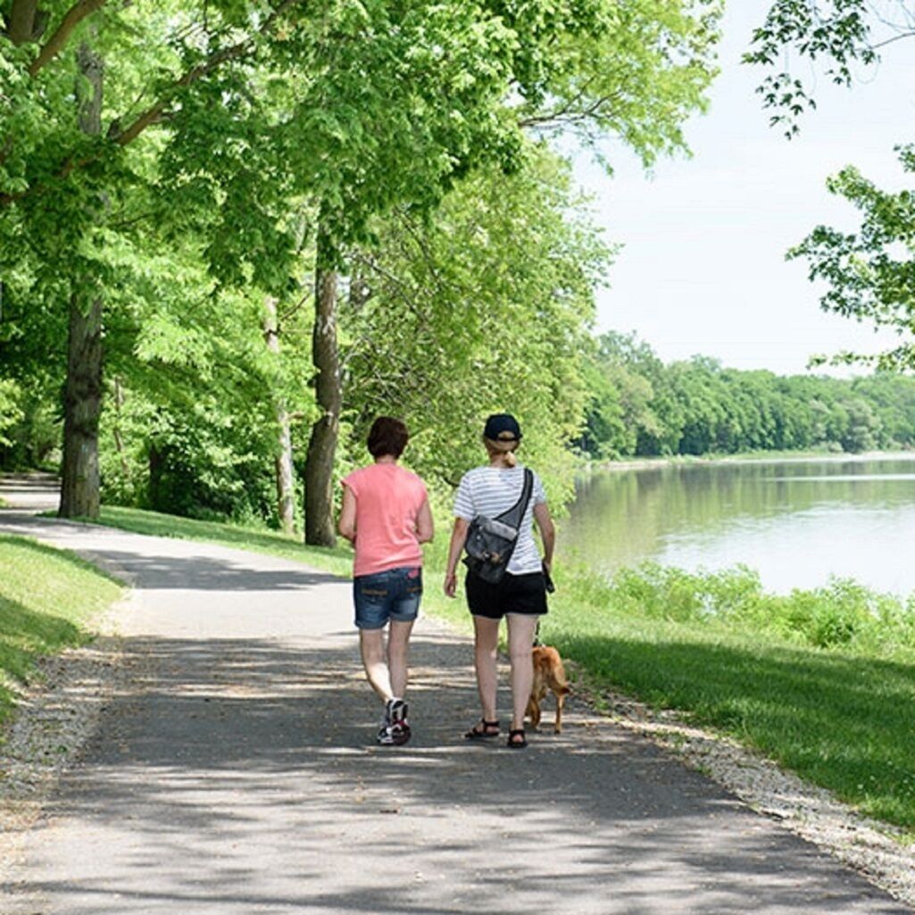 Two people walking on a paved path with a dog, surrounded by lush green trees and a body of water.